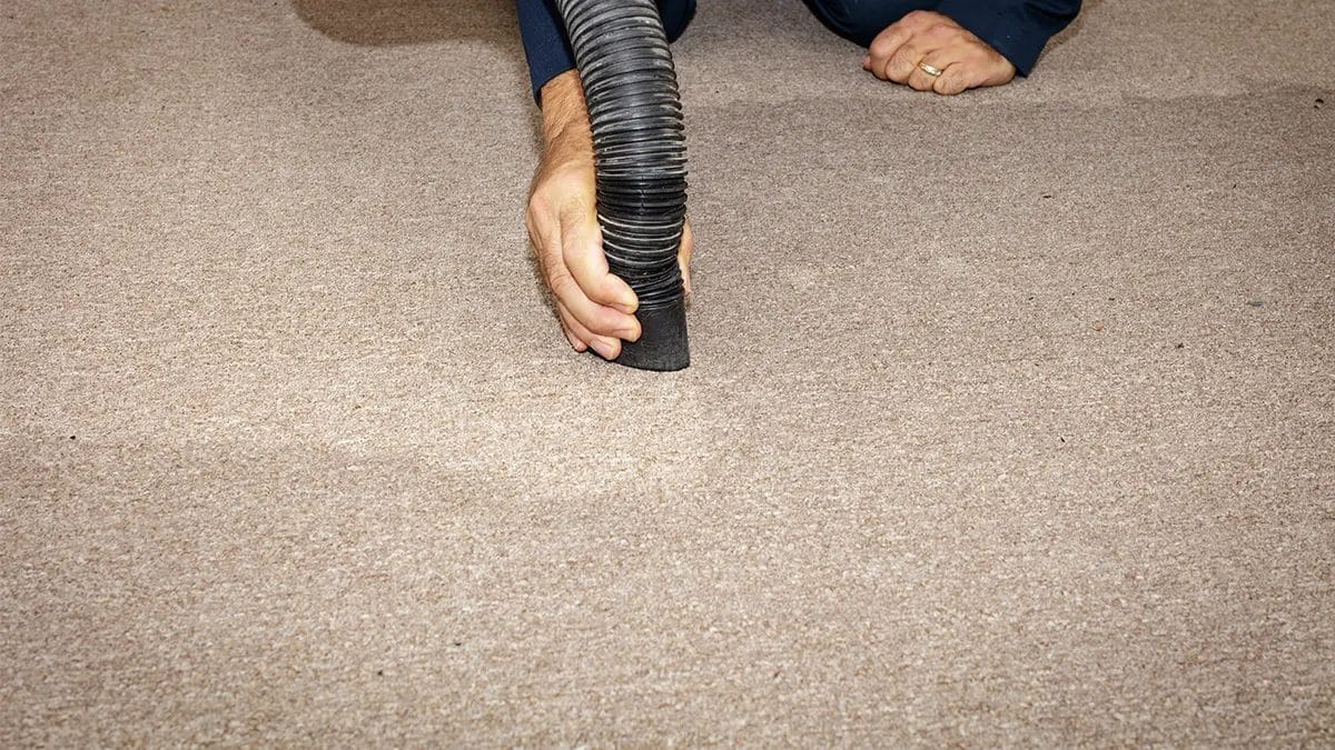 does home insurance cover water mitigation